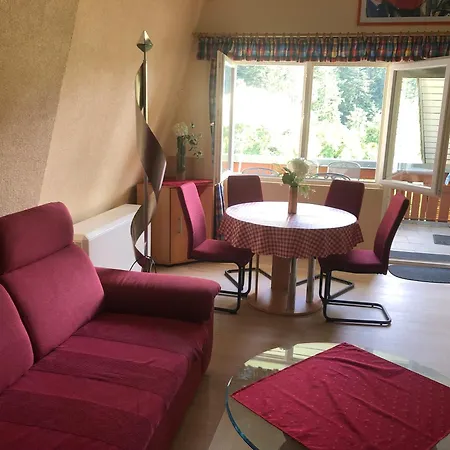 Haus Dachsberg 331 公寓 托特莫斯