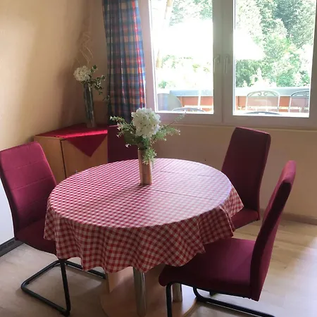 Haus Dachsberg 331 Apartamento Todtmoos