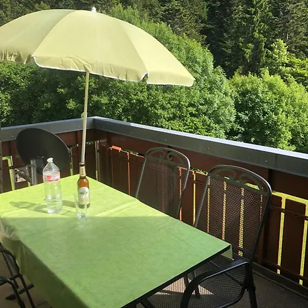 Διαμέρισμα Haus Dachsberg 331 *